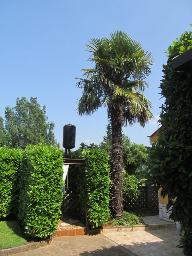 Apartments Zvezdica*** With Garden Zambratija  Exterior foto